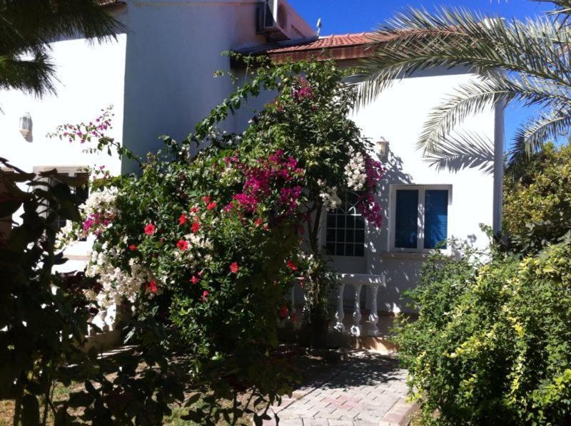 The Prince Inn Hotel & Villas Kirenia Zewnętrze zdjęcie